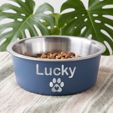 Gamelle pour chien personnalisable bleue